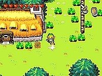 Zelda the Seeds of Darkness