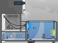 Portal The Flash Version