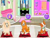 Pet Grooming Game