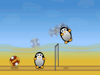 Volleyball Penguins