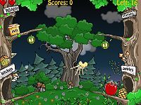 Forest Jam