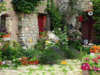 Garden Hide and Seek