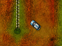 Rally Kings
