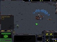 StarCraft - War Of Honor