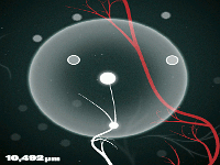Axon