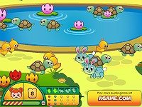 Duck Pond Puzzle