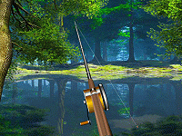 Forest lake