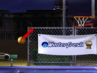 Basketball Horse