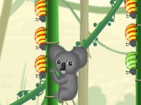 Koala vs Bugs