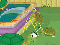 Turtle Pool