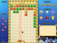 Coral Cup 2