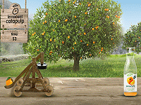 Innocent Catapulp