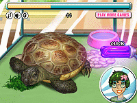 Turtle Care
