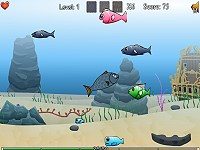Adventure of fish Gobby