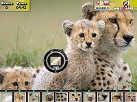 Photo Hunt - On Wild