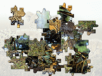 Big Leopard Jigsaw