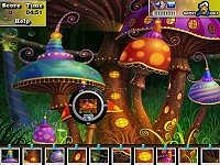 Photo Hunt - Mushroom