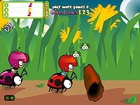 Ladybird Racing