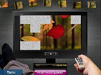 Tv Fixation
