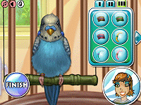 Polly the Parrot