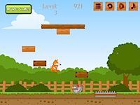 Save the Chickens