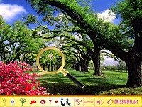Bright Autumn Hidden Objects