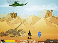 Desert Survivor