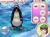 Pet Penguin