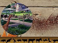 Hidden World: Animals