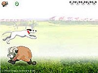 Sheep Jumper