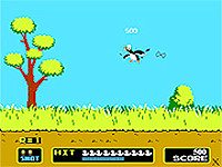 Duck Hunt