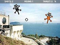Kitten Shooting