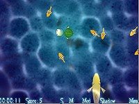 Dodgy Fishy