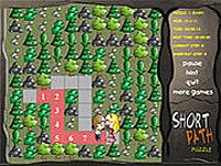 Short Path Puzzle