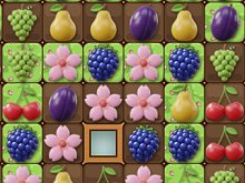 Orchard Seasons
